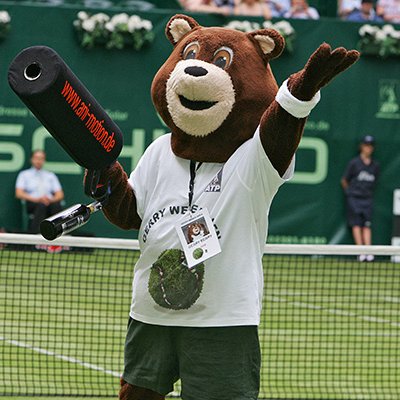 Bären-Maskottchen begrüßt das Publikum bei einem Sport-Event